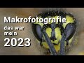 Makrofotografie - mein Jahresrückblick 2023 mit der Nikon D750 und der Panasonic FZ 300