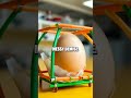 The Extraordinary Egg Drop Challenge