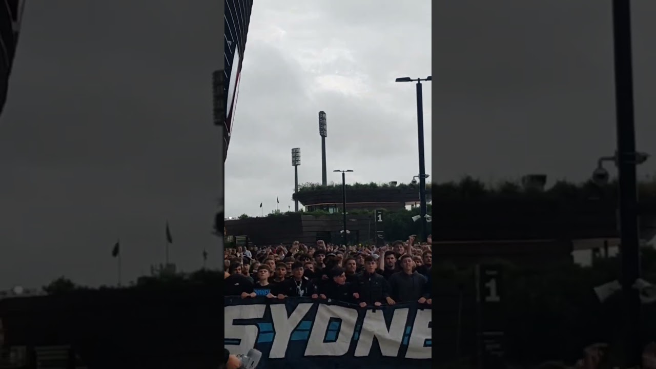 Sydney FC Fans 