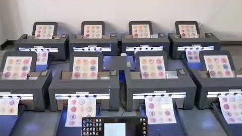 Vulcan Sheet Cutter, SC-350, one PC controls 8 machines