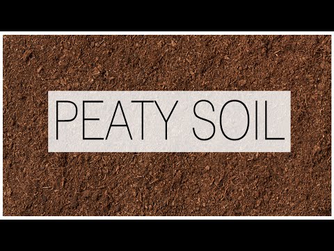 PEAT SOIL || TYPE OF SOIL || ~CIVIL ENGINEERING~