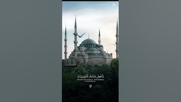 {إِنَّ رَبَّكَ هُوَ الخَلَّاق العَلِيم...} تلاوة هادئة😴|| هزاع البلوشي🤍 #قرآن #المصحف