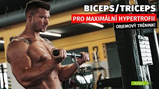 Trénink rukou pro maximální hypertrofii | BICEPS A TRICEPS