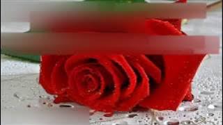 RENAN & RAY VEM ME FAZER FELIZ