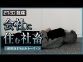 会社に寝泊りする社畜デザイナーの1週間ルーティン【6泊7日】
