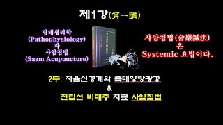 1103: 사암침쟁이 만들기 제1강 2부- 족태양방광경과 전립선 비대증 치료 사암침법