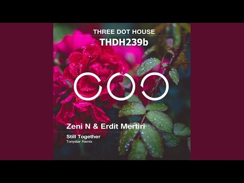 Still Together (Tonystar Extended)