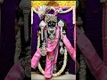 jay Dwarkadhis