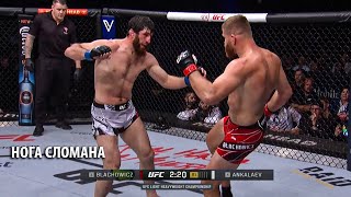 Разнес Намертво! Полный Бой Магомед Анкалаев Vs Ян Блахович / Обзор Ufc 282 /Пимблетт, Тилл, Топурия