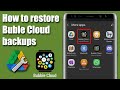 How to restore Bubble Cloud backups (relaxed importer option)