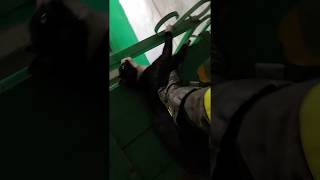 Пожарные спасли кота, сделав ему массаж сердца Пожарные спасли кота, сделав ему массаж сердца
