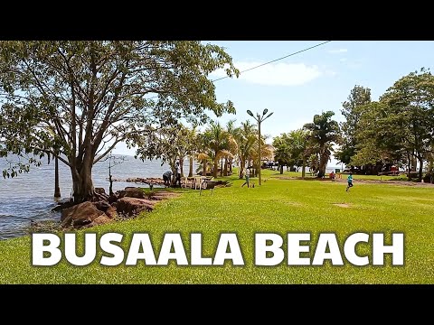 Life At One Love Busaabala Bobi Wine's Beach Tour Video