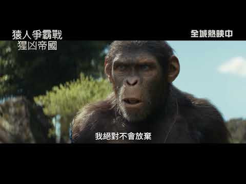 《猿人爭霸戰：猩凶帝國》影評激讚❗| 全城熱映中🔥(中文字幕)
