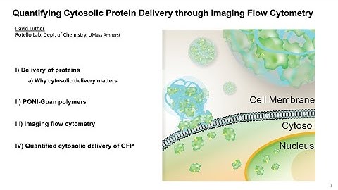 Core Facilities Seminar Series: Flow Cytometry