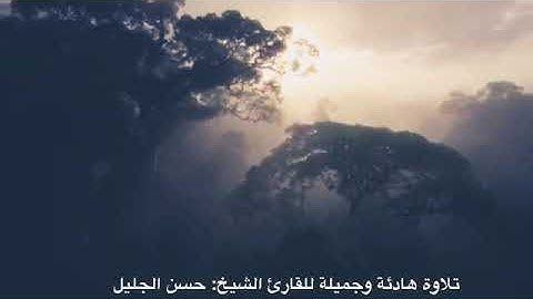 تلاوة هادئة وجميلة بصوت الشيخ حسن الجليل