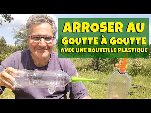 Vidéo: Besoins en eau de Naranjilla - Comment et quand arroser les arbres de Naranjilla