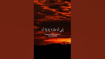(وأنا اخترتك فاستمع لما يوحى )☘️القارئ/احمد خضر ☘️