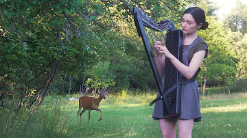 A deer turned my harp session into a Disney movie