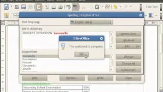 Search Replace and Auto-correct - English