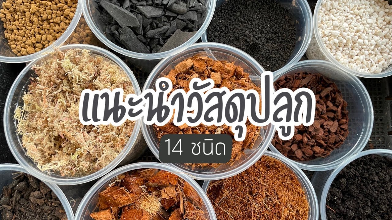 EP.18 I แนะนำวัสดุปลูก 14 ชนิด ใช้อะไรปลูกต้นไม้ถึงงาม