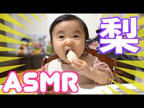 【ASMR】梨を食べる１歳児の咀嚼音が可愛すぎ【ちびっこモッパン】