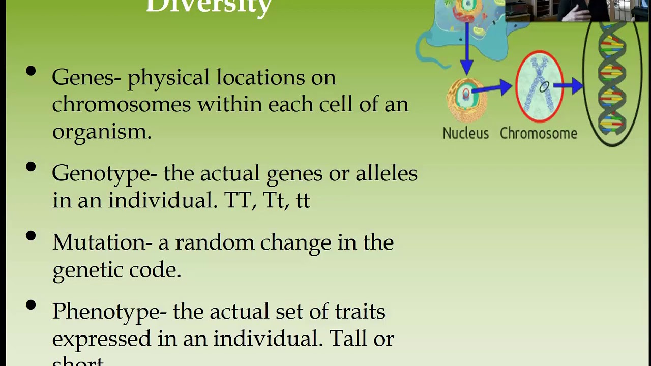 Chapter 5 Evolution of Biodiversity