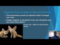 Adaptations in Species