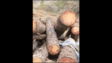 Grabber crane with timber