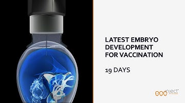 EggInject, The New Generation of In-Ovo Technology | Ceva Indonesia