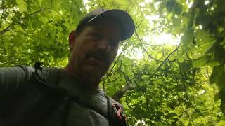 Day 111, Branchville NJ, to High Point Shelter, June 3