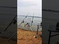 Tak można Żyć! #carpfishing #wędkarstwo #relaks #zasiadka #feeder #fishing #methodfeeder