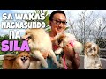 Dinaganan ni milky si britney mukang may napilayan   dog lover 