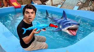 TOY SHARK TURNED iNTO A REAL SHARK 😱 How is Possible?