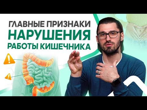 Главные признаки нарушения работы кишечника (ЖКТ)