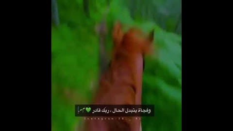 اسلام صبحي - حالات واتس اب دينية - سورة يوسف