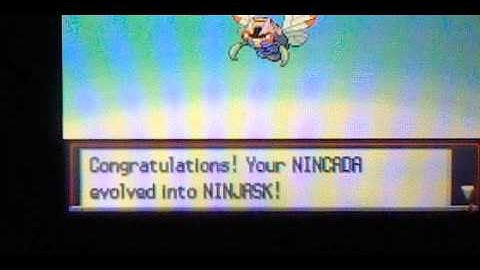 how to get ninjask & shedinja in all pokemon games