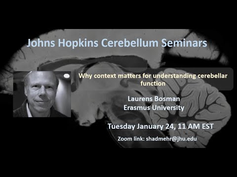 Laurens Bosman: context matters for understanding cerebellar function