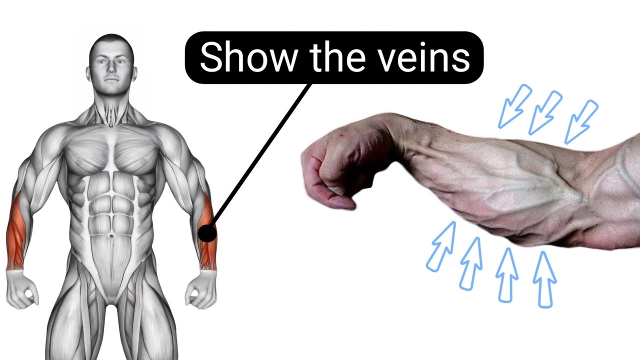 Vein Explodes The best exercises to explode the veins of the hands at home 🏠 - YouTube