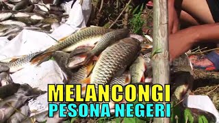 MELANCONGI PESONA NEGERI | JEJAK PETUALANG (22/09/20)