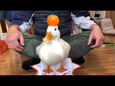 RyuzoArts - YouTube