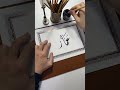 اسم عمار Shorts Calligraphy Short الخط الديواني الخط العربي Shortsvideo Shortvideos