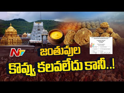 CBI Submits Report On Tirumala Laddu Ghee Issue | NTV Teulgu - NTVTELUGU