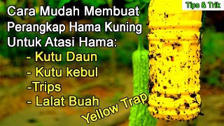 Cara mudah membuat perangkap hama kuning