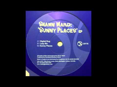 Shawn Ward — Shawn Ward - Digital Bug