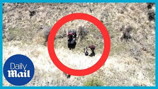 Amazing moment missing 3-year-old girl is rescued by police in Washington
