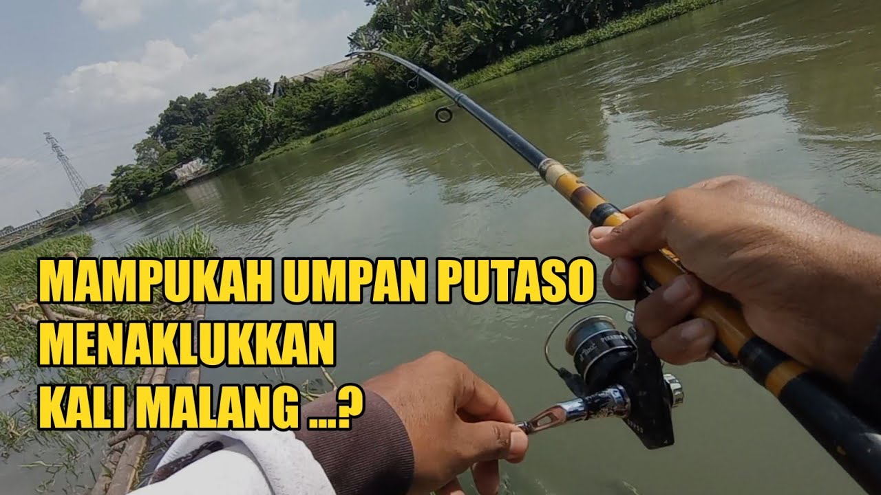 PERTAMA KALI MENCOBA UMPAN PUTASO DI KALI MALANG CIKARANG BEKASI‼️APA YANG TERJADI‼️
