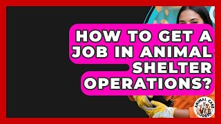 How To Get A Job In Animal Shelter Operations? - Animal Care Jobs