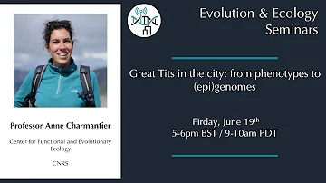 [Anne Charmantier] Great Tits in the city: from phenotypes to (epi)genomes