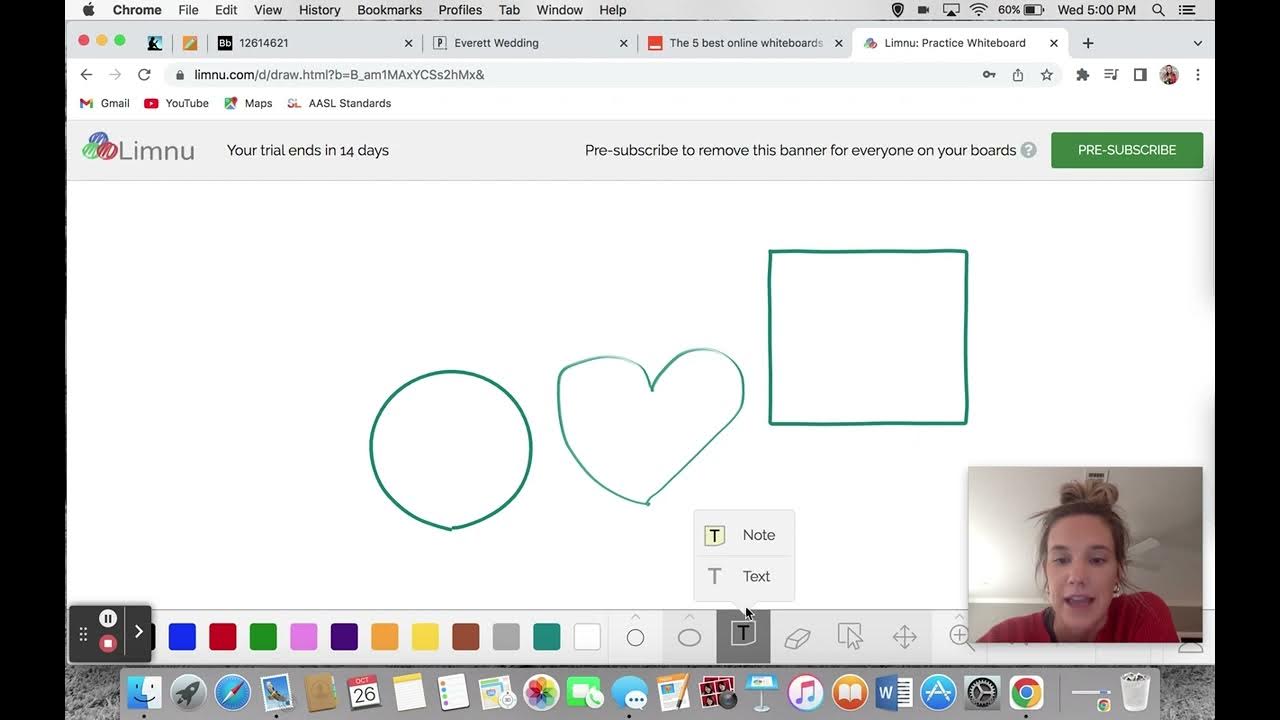Limnu Whiteboard Tutorial YouTube