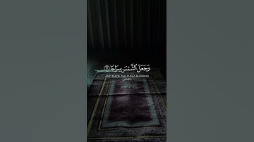 تلاوة جميلة للقرآن الكريم -  Part74 | #قرآن #قران_كريم #quran